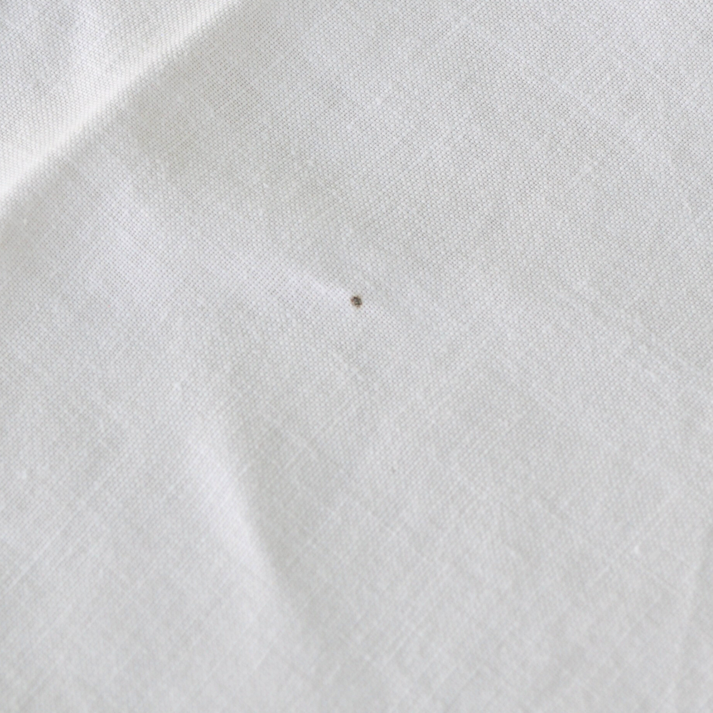 Charlotte Table Covering