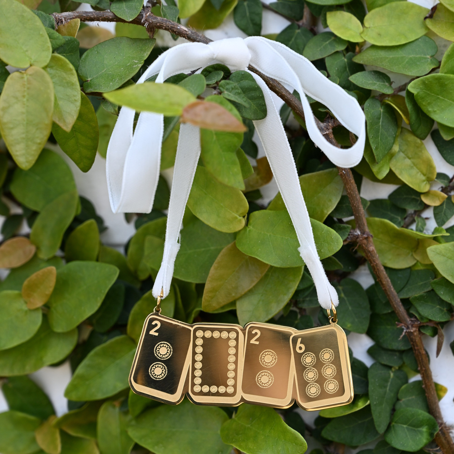 Limited Edition 2026 Engraved Ornament
